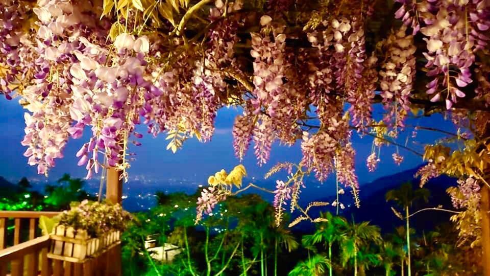 Starlight Forest B&B Jinshi Esterno foto